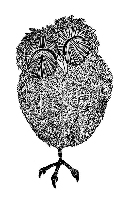 Owl Fred 