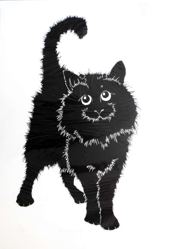 Scallywag