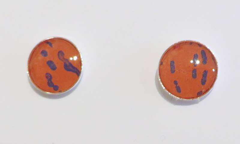 Round stud earrings