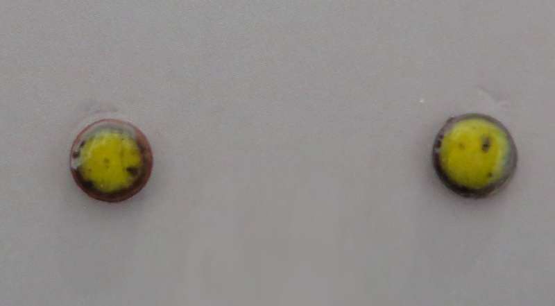 Enamellerd Copper Stud Earrings