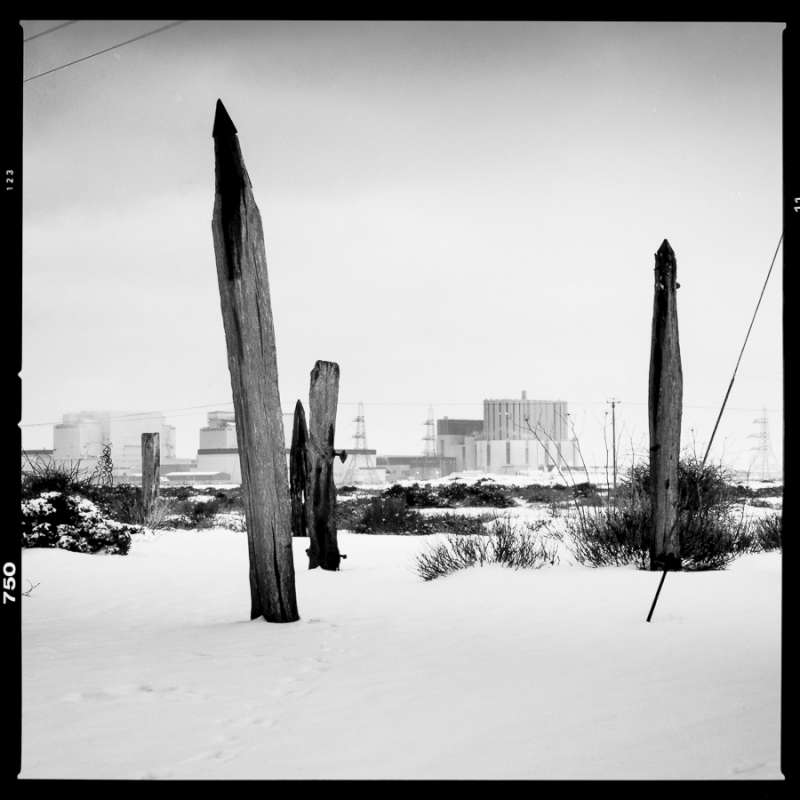 Dungeness Beach 