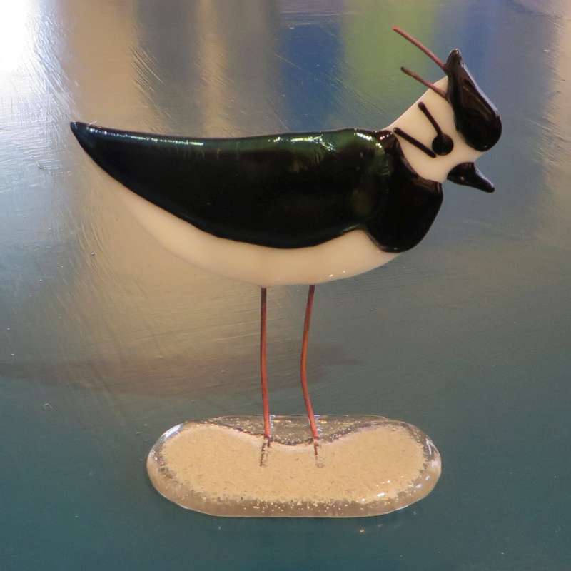 Lapwing 