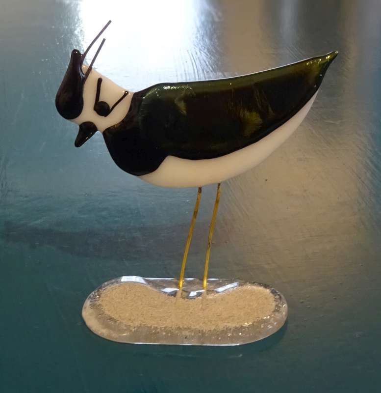 Lapwing 